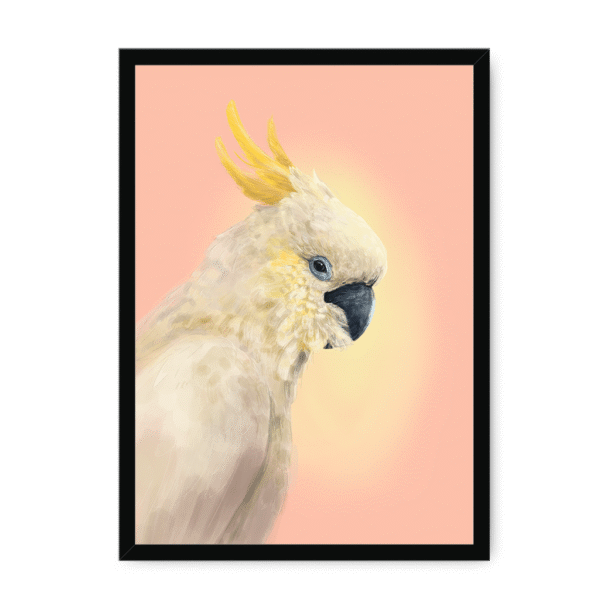 39118-framed-white-cockatwos-white-framed-print-31634024464540-19.png