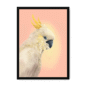 39118-framed-white-cockatwos-white-framed-print-31634024464540-19.png