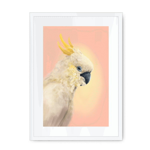 39118-framed-white-white-mount-cockatwos-white-framed-print-31634024661148-15.png