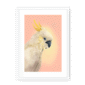 39118-framed-white-white-mount-cockatwos-white-framed-print-31634024661148-15.png