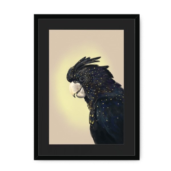 39119-framed-black-black-mount-cockatwos-black-framed-print-31634034851996-15.png