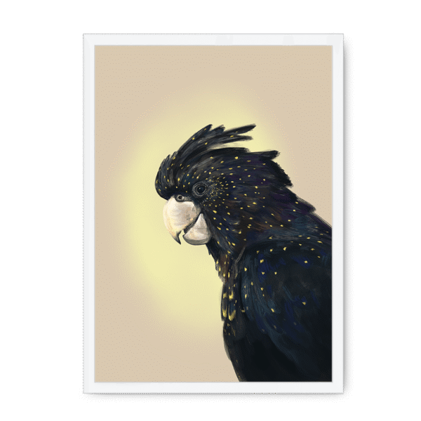 39119-framed-black-cockatwos-black-framed-print-31634034458780-19.png