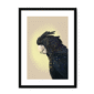 39119-framed-black-white-mount-cockatwos-black-framed-print-31634034819228-15.png