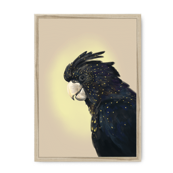 39119-framed-natural-cockatwos-black-framed-print-31634034557084-19.png