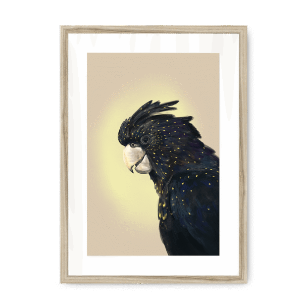 39119-framed-natural-white-mount-cockatwos-black-framed-print-31634034917532-15.png