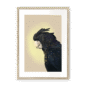 39119-framed-natural-white-mount-cockatwos-black-framed-print-31634034917532-15.png