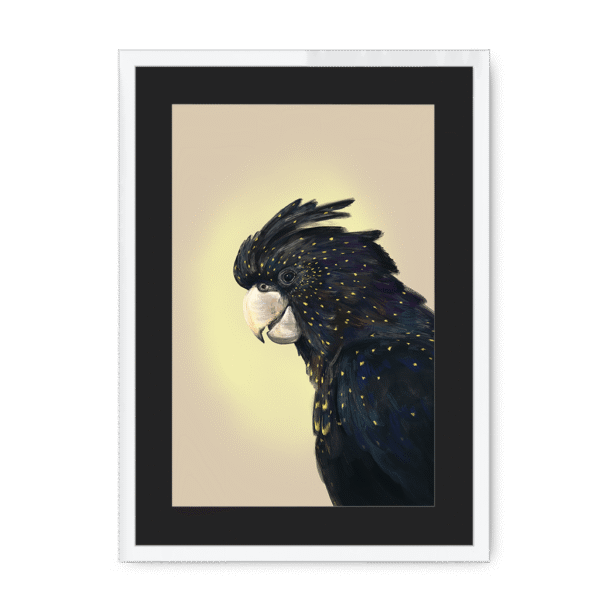 39119-framed-white-black-mount-cockatwos-black-framed-print-31634034786460-15.png