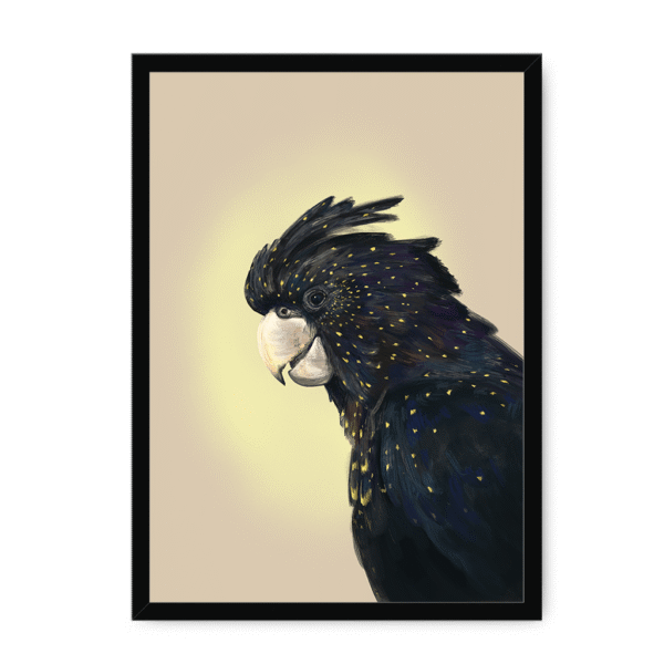 39119-framed-white-cockatwos-black-framed-print-31634034491548-19.png