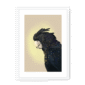 39119-framed-white-white-mount-cockatwos-black-framed-print-31634034753692-15.png