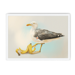 Banana Gull Framed Print