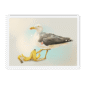 39140-framed-black-banana-gull-framed-print-31597746520220-15.png