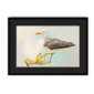39140-framed-black-black-mount-banana-gull-framed-print-31597746978972-12.png