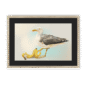 39140-framed-natural-black-mount-banana-gull-framed-print-31597747044508-12.png