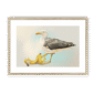39140-framed-natural-white-mount-banana-gull-framed-print-31597747011740-12.png