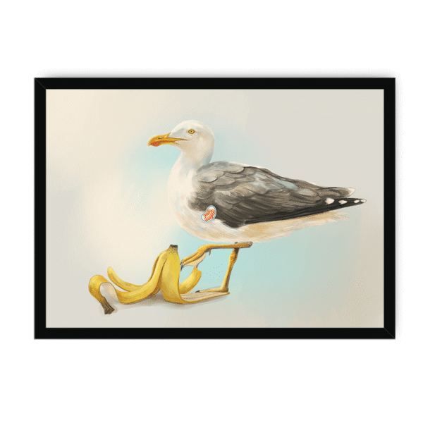 39140-framed-white-banana-gull-framed-print-31597746618524-15.png