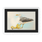 39140-framed-white-black-mount-banana-gull-framed-print-31597746913436-12.png