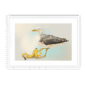 39140-framed-white-white-mount-banana-gull-framed-print-31597746880668-12.png