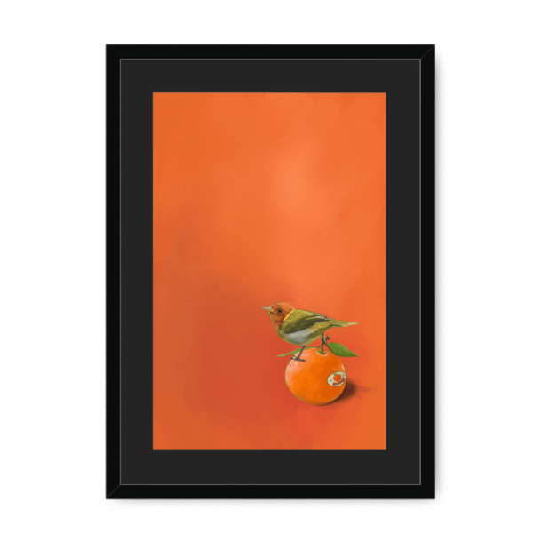 39141-framed-black-black-mount-tangerine-tanager-framed-print-31598169063580-12.png