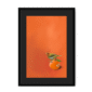 39141-framed-black-black-mount-tangerine-tanager-framed-print-31598169063580-12.png