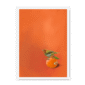 39141-framed-black-tangerine-tanager-framed-print-31598168703132-15.png