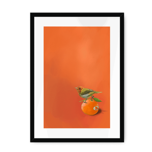 39141-framed-black-white-mount-tangerine-tanager-framed-print-31598169030812-12.png