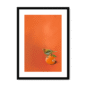 39141-framed-black-white-mount-tangerine-tanager-framed-print-31598169030812-12.png