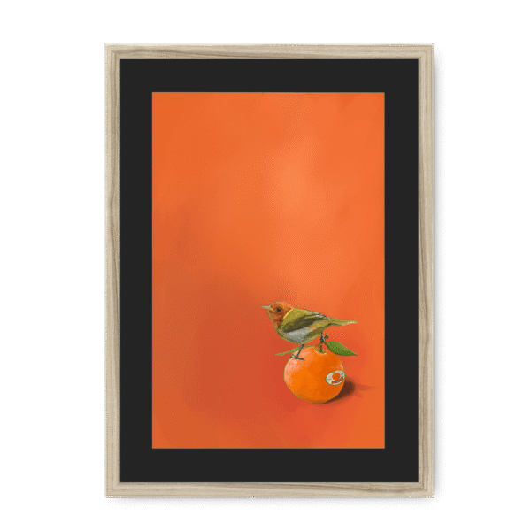 39141-framed-natural-black-mount-tangerine-tanager-framed-print-31598169129116-12.png