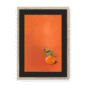 39141-framed-natural-black-mount-tangerine-tanager-framed-print-31598169129116-12.png