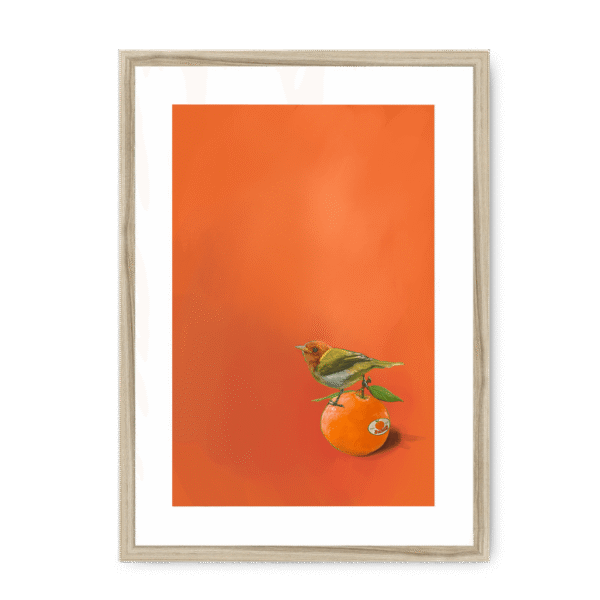 39141-framed-natural-white-mount-tangerine-tanager-framed-print-31598169096348-12.png