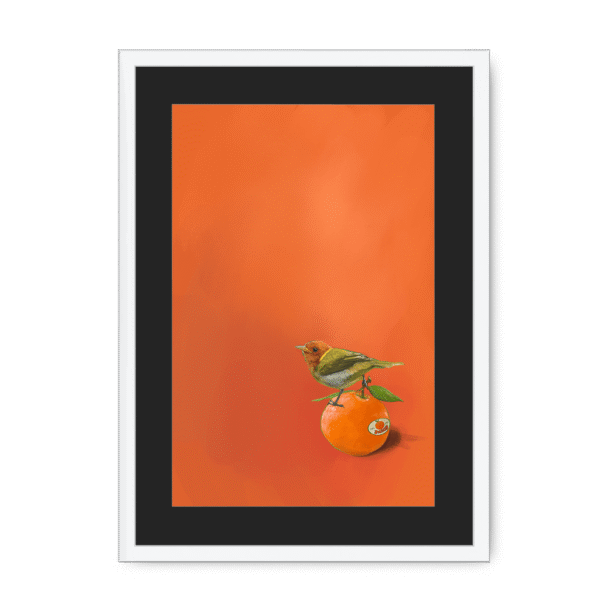 39141-framed-white-black-mount-tangerine-tanager-framed-print-31598168998044-12.png