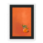 39141-framed-white-black-mount-tangerine-tanager-framed-print-31598168998044-12.png