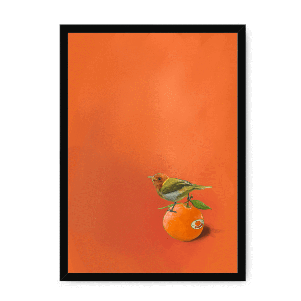 39141-framed-white-tangerine-tanager-framed-print-31598168735900-15.png