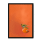 39141-framed-white-tangerine-tanager-framed-print-31598168735900-15.png