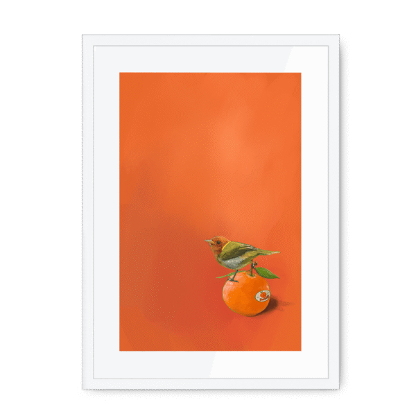 39141-framed-white-white-mount-tangerine-tanager-framed-print-31598168965276-12.png