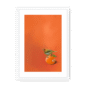 39141-framed-white-white-mount-tangerine-tanager-framed-print-31598168965276-12.png