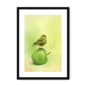 39142-framed-black-white-mount-apple-akekee-framed-print-31598641447068-12.png