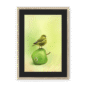 39142-framed-natural-black-mount-apple-akekee-framed-print-31598641545372-12.png