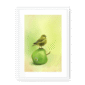 39142-framed-white-white-mount-apple-akekee-framed-print-31598641348764-12.png