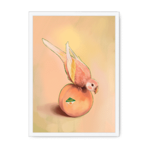 Peachy Parakeet Framed Print