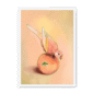 39143-framed-black-peachy-parakeet-framed-print-31598300823708-15.png