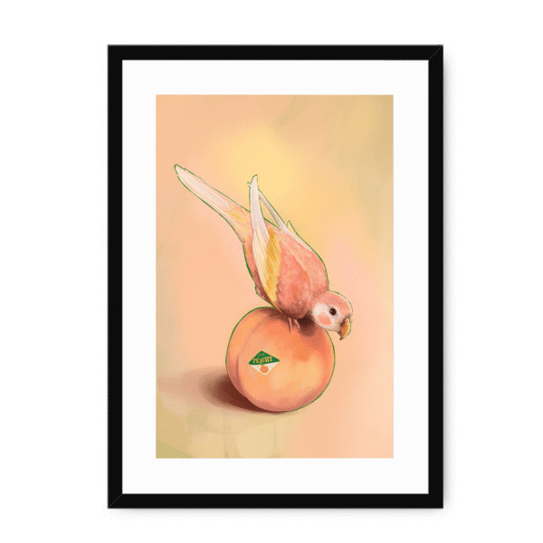 39143-framed-black-white-mount-peachy-parakeet-framed-print-31598301151388-12.png