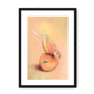39143-framed-black-white-mount-peachy-parakeet-framed-print-31598301151388-12.png