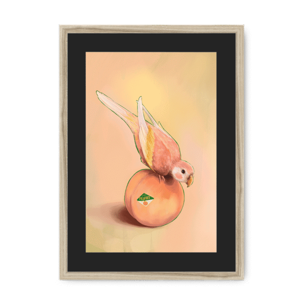 39143-framed-natural-black-mount-peachy-parakeet-framed-print-31598301282460-12.png