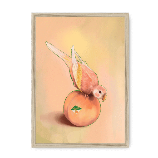 39143-framed-natural-peachy-parakeet-framed-print-31598300889244-15.png