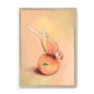 39143-framed-natural-peachy-parakeet-framed-print-31598300889244-15.png