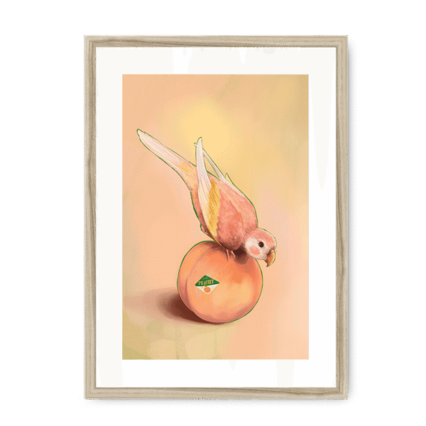 39143-framed-natural-white-mount-peachy-parakeet-framed-print-31598301249692-12.png