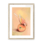 39143-framed-natural-white-mount-peachy-parakeet-framed-print-31598301249692-12.png