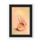 39143-framed-white-black-mount-peachy-parakeet-framed-print-31598301118620-12.png