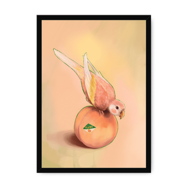 39143-framed-white-peachy-parakeet-framed-print-31598300856476-15.png