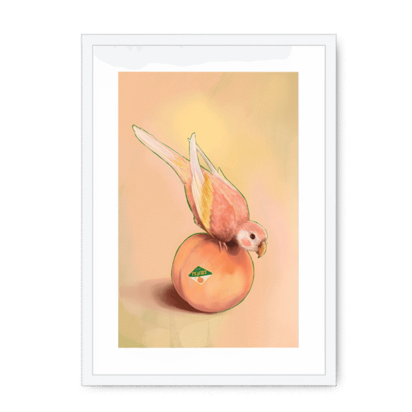 39143-framed-white-white-mount-peachy-parakeet-framed-print-31598301085852-12.png